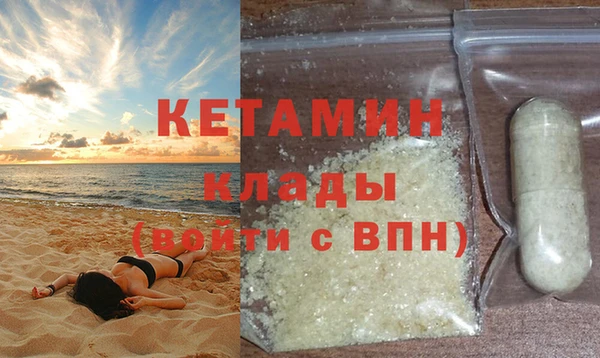 хмурый Аркадак