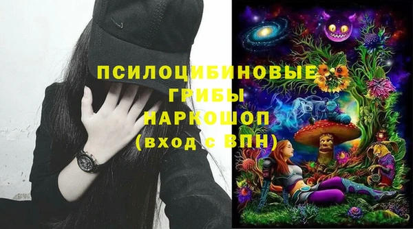 хмурый Аркадак