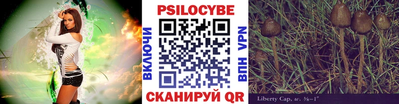 OMG рабочий сайт  Полтавская  Галлюциногенные грибы Psilocybe 